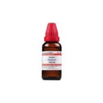 Dr Willmar Schwabe India Acidum Formicum Dilution