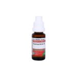 Adel Homeopathy Fraxinus Amer Mother Tincture Q