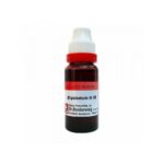 Dr. Reckeweg Equisetum H Mother Tincture Q
