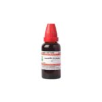 Dr Willmar Schwabe India Anagallis Arvensis Mother Tincture
