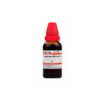 Dr Willmar Schwabe India Asparsgus Officinalis Mother Tincture Q