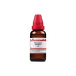 Dr Willmar Schwabe India Hamamelis Virginica Mother Tincture Q