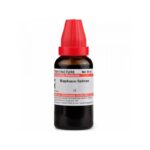 Dr Willmar Schwabe India Raphanus Sativus Mother Tincture Q
