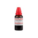 Dr Willmar Schwabe India Ricinus Communis Mother Tincture Q