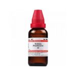 Dr Willmar Schwabe India Robinia Pseudacacia Mother Tincture Q