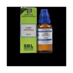 SBL Homeopathy Carbo Vegetabilis Dilution