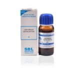 SBL Homeopathy Crataegus Oxyacantha Mother Tincture Q
