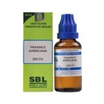 SBL Homeopathy Fraxinus Americana Dilution