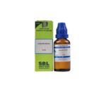 SBL Homeopathy Juglans Regia Dilution