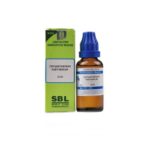 SBL Homoepathy Crysanthemum Parthenium Dilution