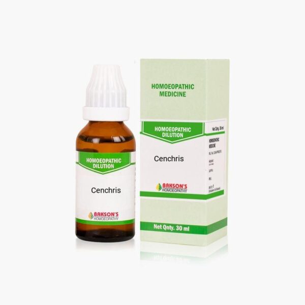 Cenchris