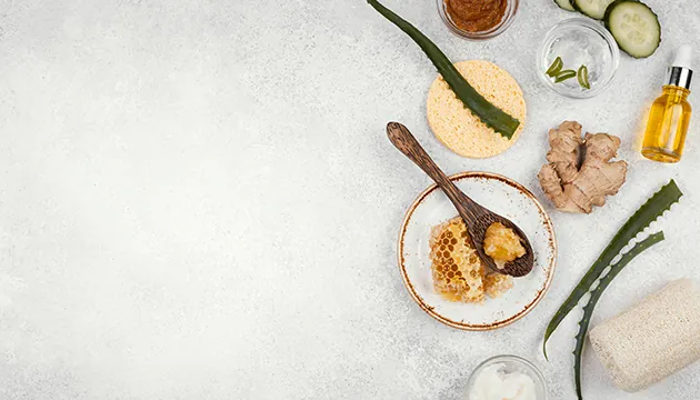 Homeopathy for Wellness: A Holistic Approach to Health