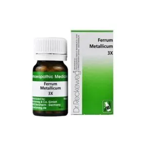 Dr. Reckeweg Ferrum Metallicum Trituration Tablets 3X