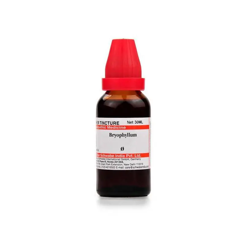 image_Dr.-Willmar-Schwabe-India-Bryophyllum-Mother-Tincture-Q_0 Dr Willmar Schwabe India Bryophyllum Mother Tincture Q