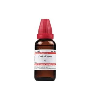 Dr Willmar Schwabe India Carica Papaya Mother Tincture Q