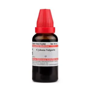 Dr Willmar Schwabe India Cydonia Vulgaris Mother Tincture Q