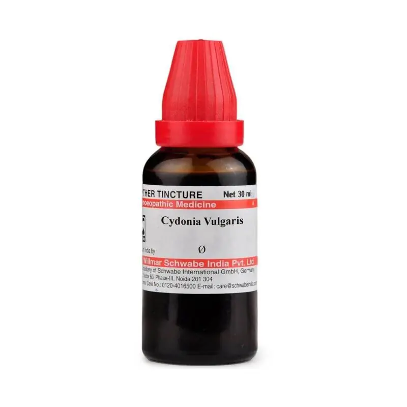 Dr Willmar Schwabe India Cydonia Vulgaris Mother Tincture Q