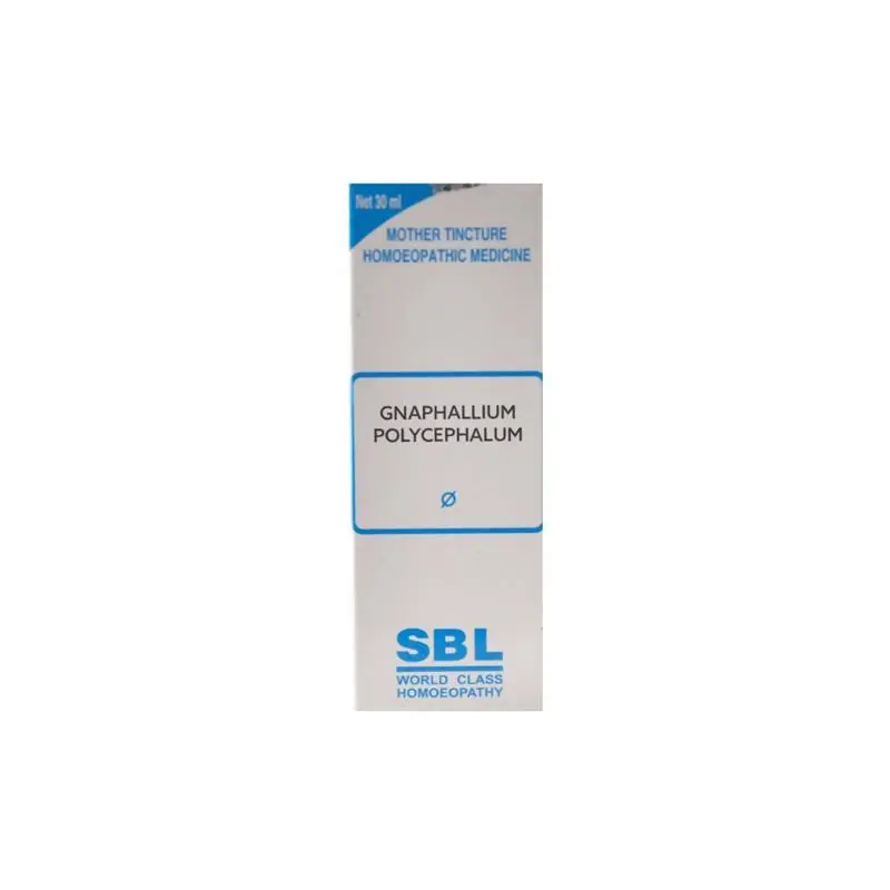 SBL Homeopathy Gnaphalium Polycephalum Mother Tincture Q