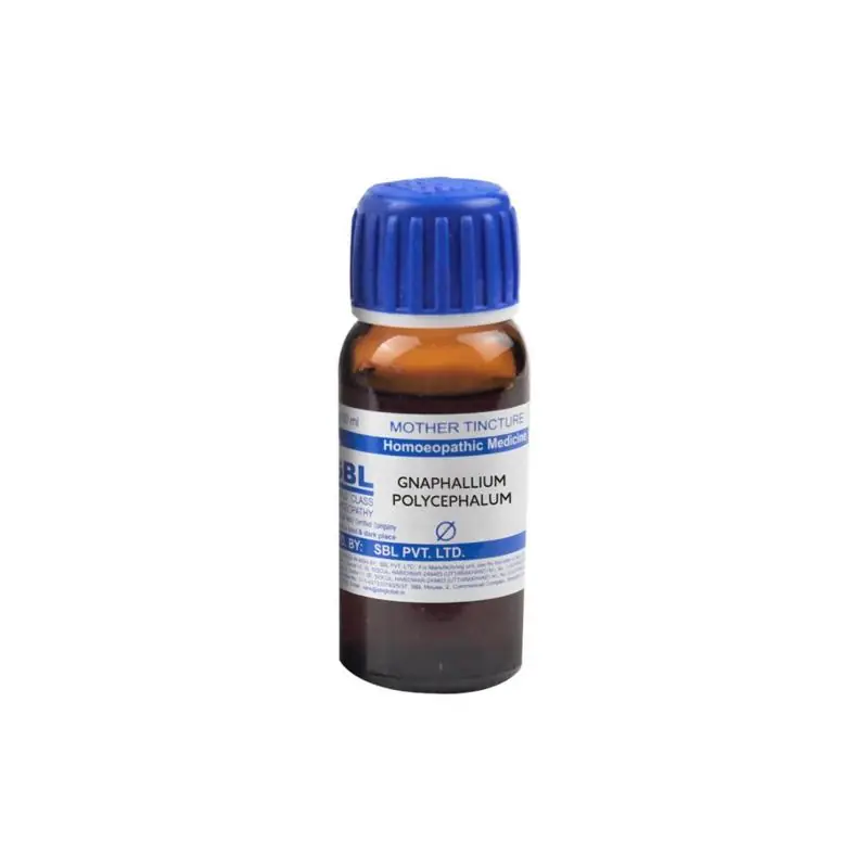 SBL Homeopathy Gnaphalium Polycephalum Mother Tincture Q