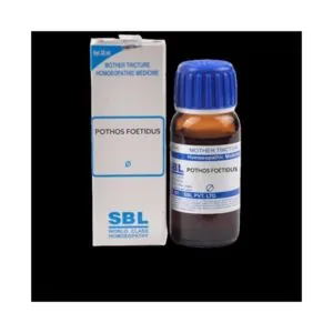 SBL Homeopathy Pothos Foetidus Mother Tincture Q