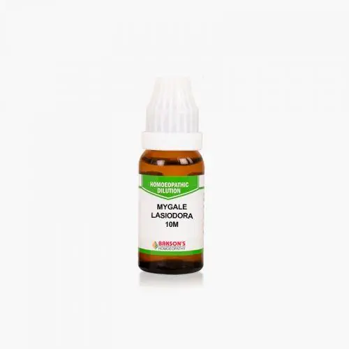 Bakson's Homeopathy Mygale Lasiodora