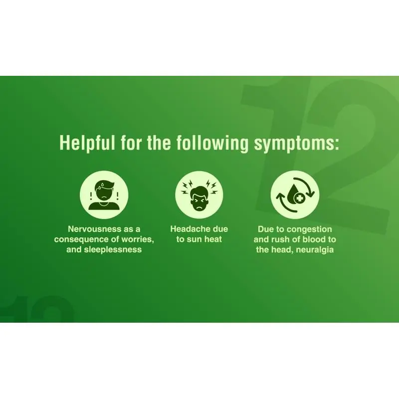 SBL Homeopathy Bio-Combination 12 Bio-Combinations